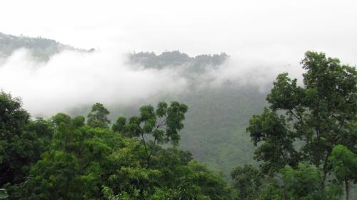 Bara Mangwa View