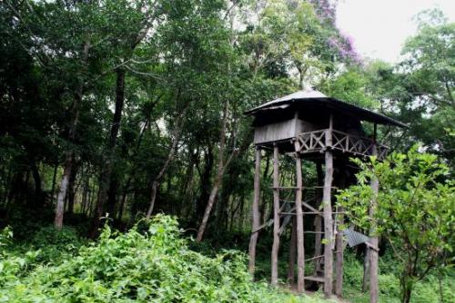 Watch Tower Chilapata