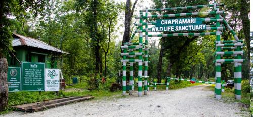 Chapramari Forest Head