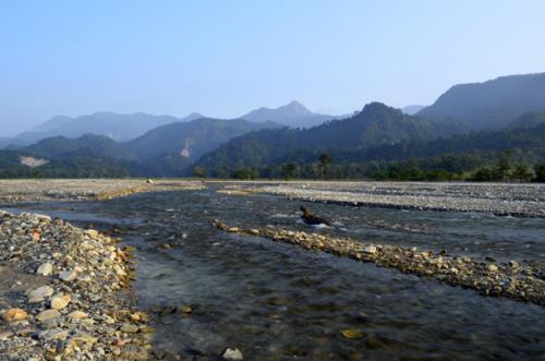 Jayanti river Dooars