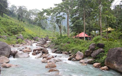 Jhalong River Camp