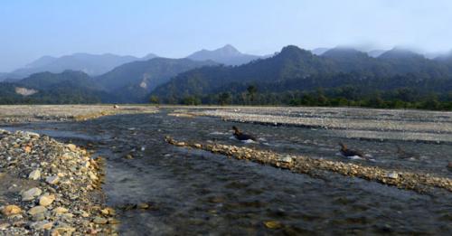 Murti River, Dooars